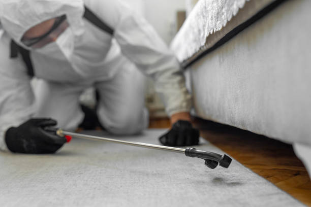 Professional Ant Control technician working in Bristol County County, RI